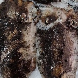 Sepia Gallega a domicilio, venta online de mariscos gallegos
