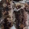 Sepia Gallega a domicilio, venta online de mariscos gallegos