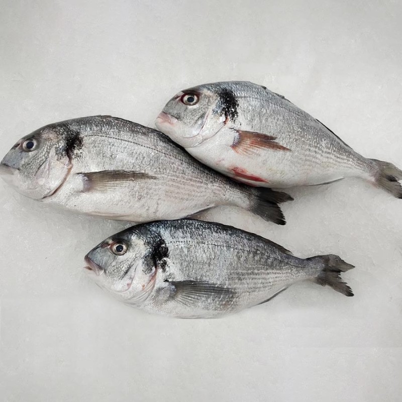Dorada fresca a domicilio, compra en Freixomar pescadería online