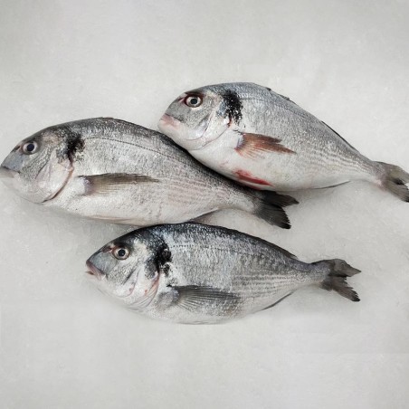 Dorada fresca a domicilio, compra en Freixomar pescadería online