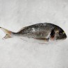 Dorada salvaje de la Ría Gallega, pescadería online a domicilio 48h