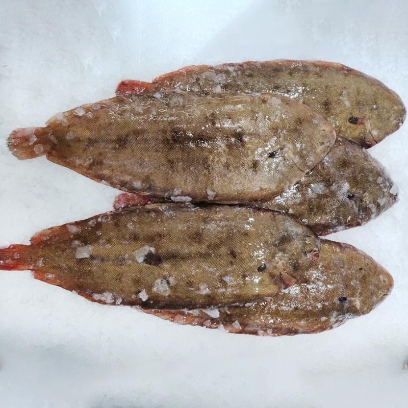 Lenguado fresco salvaje online, compra el mejor pescado en Freixomar