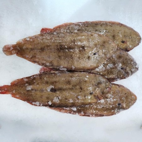 Lenguado fresco salvaje online, compra el mejor pescado en Freixomar