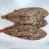 Lenguado fresco salvaje online, compra el mejor pescado en Freixomar