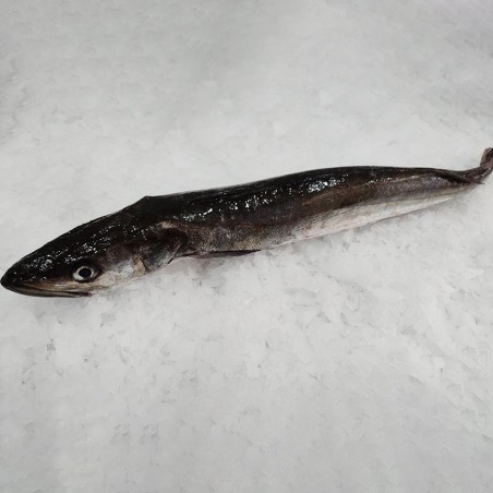 Merluza pincho fresca salvaje, merluza gallega a domicilio