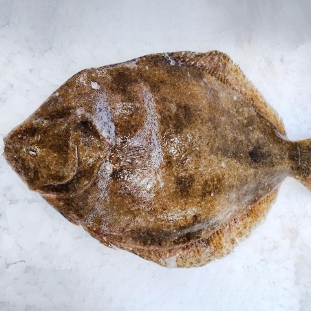 Coruxo da Ría, Rémol fresco salvaje, coruxo gallego a domicilio