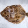 Coruxo da Ría, Rémol fresco salvaje, coruxo gallego a domicilio