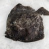 Rodaballo gallego piscifactoría, Pescado fresco a domicilio en 48h