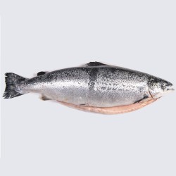 Salmón noruego fresco acuicultura, pescados gallegos a domicilio