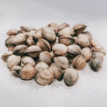Berberecho gallego a domicilio, venta online de mariscos gallegos